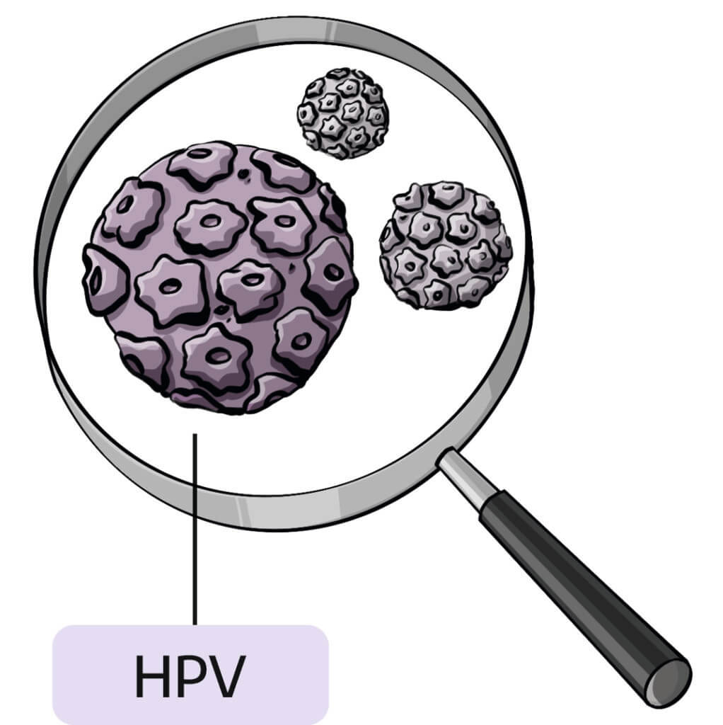 HPV